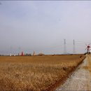 향기있는풍경 이미지