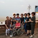 십자매6회모임보령 숲속애 통나무마을2026년6월13일에서14일까지(1박2일) 이미지