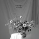 그레이스졸리
