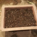 모메조은거 이미지