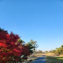 나인브릿지골프클럽(회원제) 이미지