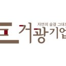 거광전기