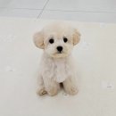 혹성탈출 이유경