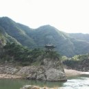 팔경상회,경북식당 네이버블로그
