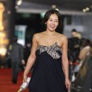 형지어패럴라젤로