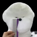 댕댕미용 이미지