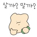 배스킨라빈스고척 이미지