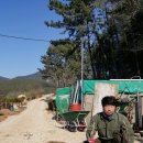 엘크사슴 이미지