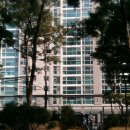 장덕초교 앞 이미지