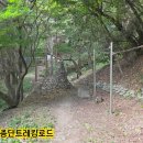 서구종단숲길-장군산-천마산-두도전망대 이미지