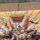 기린슈퍼자판기 | 에버랜드 한정 기간 워킹사파리 + 튤립축제 방문 후기 🌷🦒