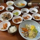 협동조합 양지마실 건강체험 이미지
