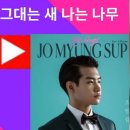 그대는 새 나는 나무 ~ 꿈꾸는 고향 열차 ~ 브라보 친구 ~ 3곡 묶음 응원해요 이미지