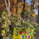 문예동산유치원 이미지