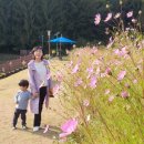 사양제 저수지2 이미지