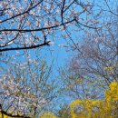 부산진구 사회복지관어린이집 | 부산진구사회복지관어린이집으로 놀러오세요~🍃