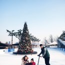 아이스 카카오 검색결과