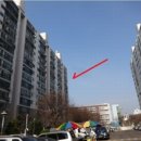 태영아파트 버스정류장 이미지