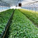 서대산농장 이미지