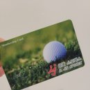 일진스크린골프 이미지