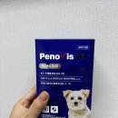 벳전문약국 | [강아지유산균추천/강아지장건강추천]페노비스 벳 강아지 유산균 강아지 유산균 임상원료 후기