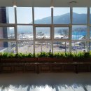 서산시동물보호센터 이미지