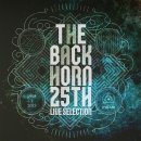 셀렉션(selection)