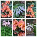 향기네무료급식소 이미지