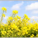 여성노인회관 이미지