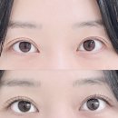 무무스튜디오 | 부천시청속눈썹 잘하는 래쉬스튜디오무무 연장후기