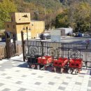 향기캠프 앞 이미지