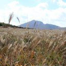 얼음골산장 이미지