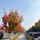 천하명당마트 이미지