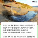물장수 네이버블로그