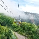 발왕산 관광케이블카 코스 이미지