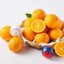 오렌지할인마트 이미지