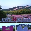 영신여자고등학교 | 불암산 철쭉축제 주차장 가는법 나비정원 철쭉동산 방문 후기