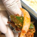 말죽거리불닭닭발 이미지