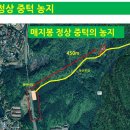 돌마농장 이미지