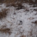 궁리 마을회관 이미지