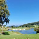 온그린 골프클럽 이미지