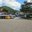 송림펜션 | 충주/수안보 근처 펜션. 송림농원펜션 만데빌라 후기. 단체/독채/수영장