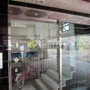 당미2길 Daum카페