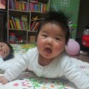 빈우농장 네이버블로그