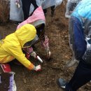 강서구-74 이미지