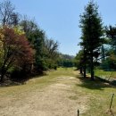 호미골Par3 골프연습장 | 충남 천안골프클럽 PAR3 골프장 연습장 후기 ㅣ 이용꿀팁 컨디션 코스 파3 파쓰리 골프장