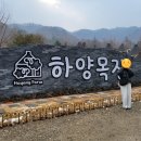 들판의추억목장 | [강원도 홍천 여행] 비발디파크 근처 EBS방영 <하양목장> 겨울방학 체험 양떼목장 체험 리얼 후기!