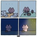 계산동 은행나무 | 2024년 11월 1일-14일, 11월이라고 정말...?