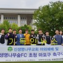 생명나무숲 이미지