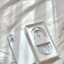 화이트애플 | 애플 아이폰17 화이트 256GB 자급제 실사용 비교 솔직 후기